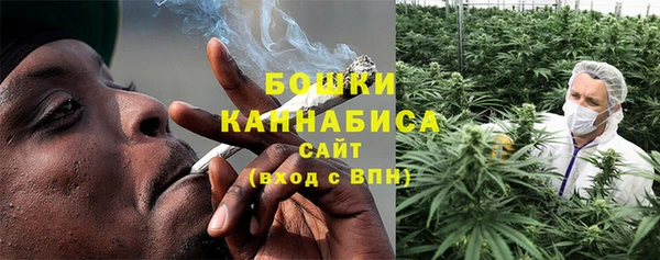 молекула духа Пересвет