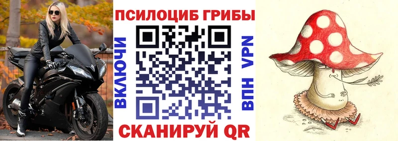 omg ССЫЛКА Вытегра Галлюциногенные грибы ЛСД где продают наркотики